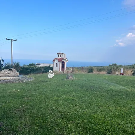 Aelia's Panoramic View * Litochoro