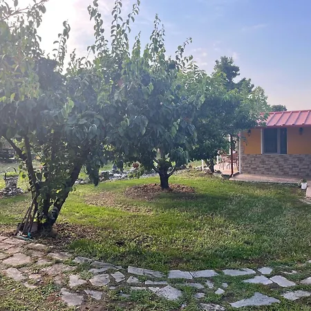 Aelia's Panoramic View Litochoro